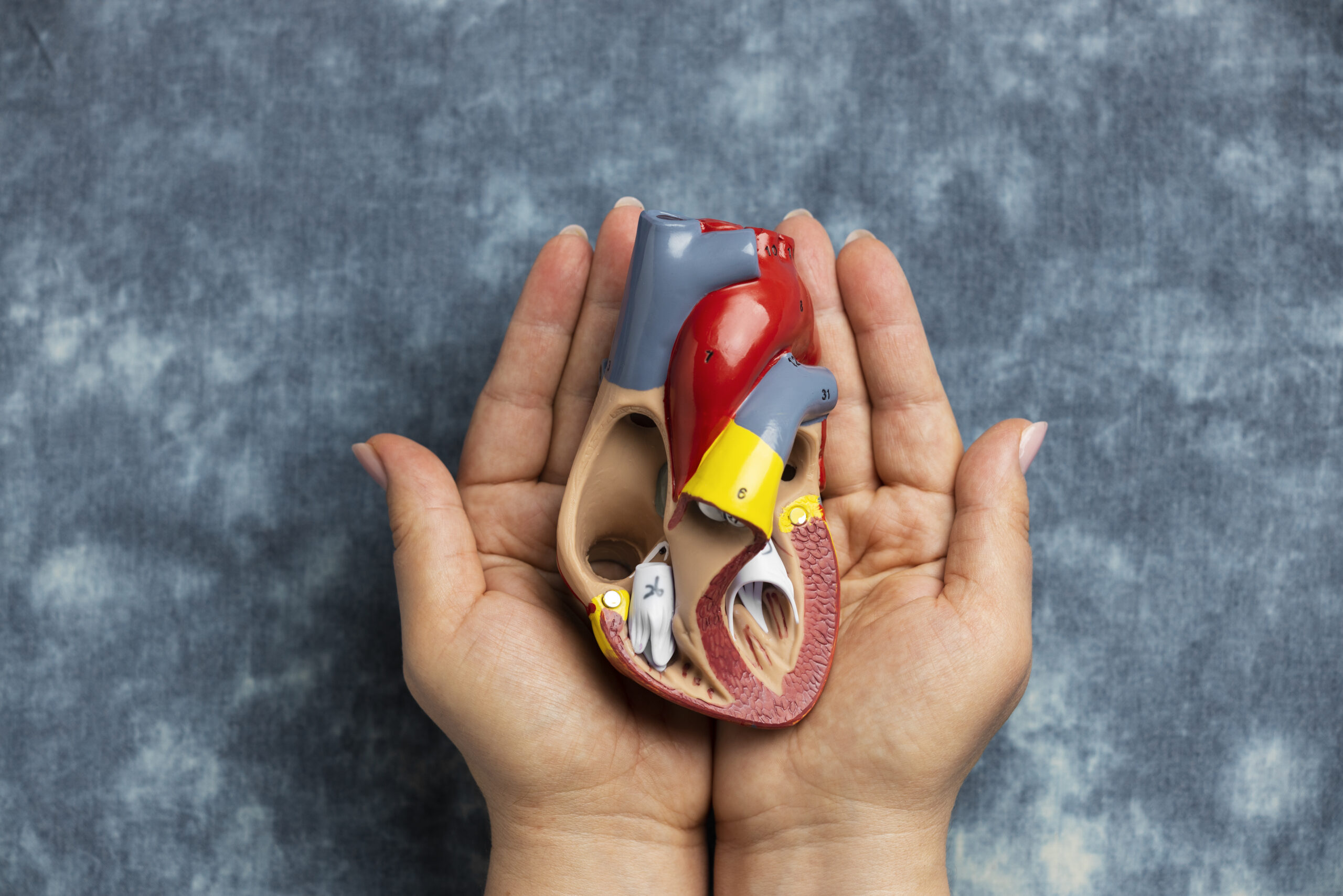 what is sgpt in liver
